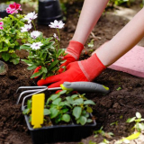 Лунен сеитбен календар за април 2022 г. За градинар и градинар...